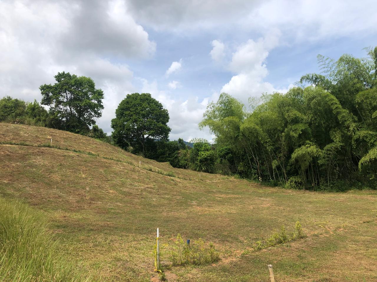 Lotes Campestres Aldeas La Provincia.