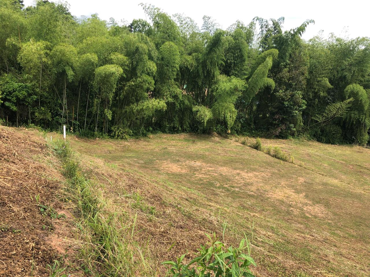 Lotes Campestres Aldeas La Provincia.